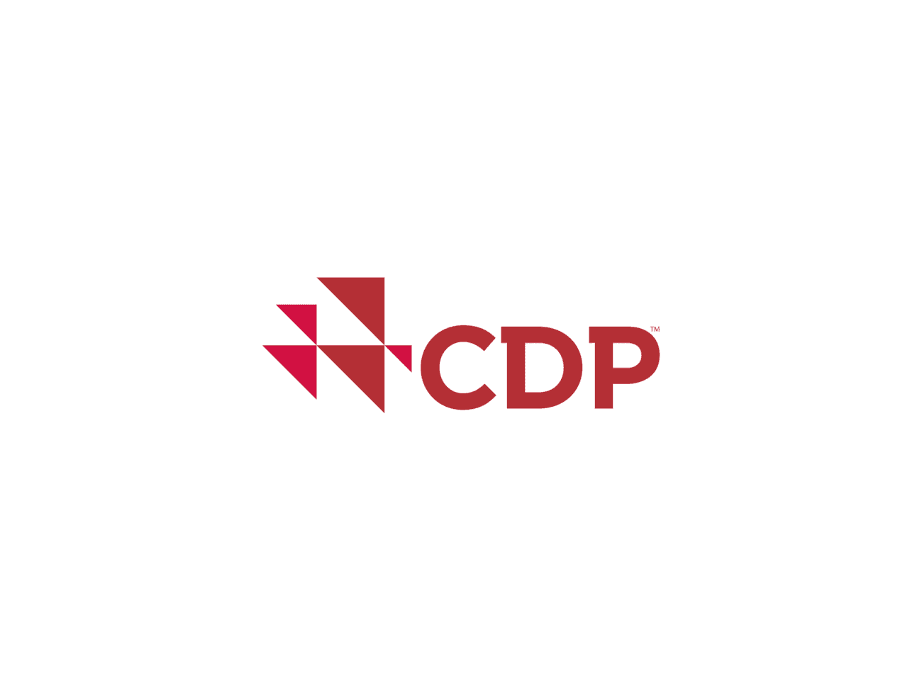 Cover Image for CDP Reporting Made Simple: Your Path to Climate Leadership