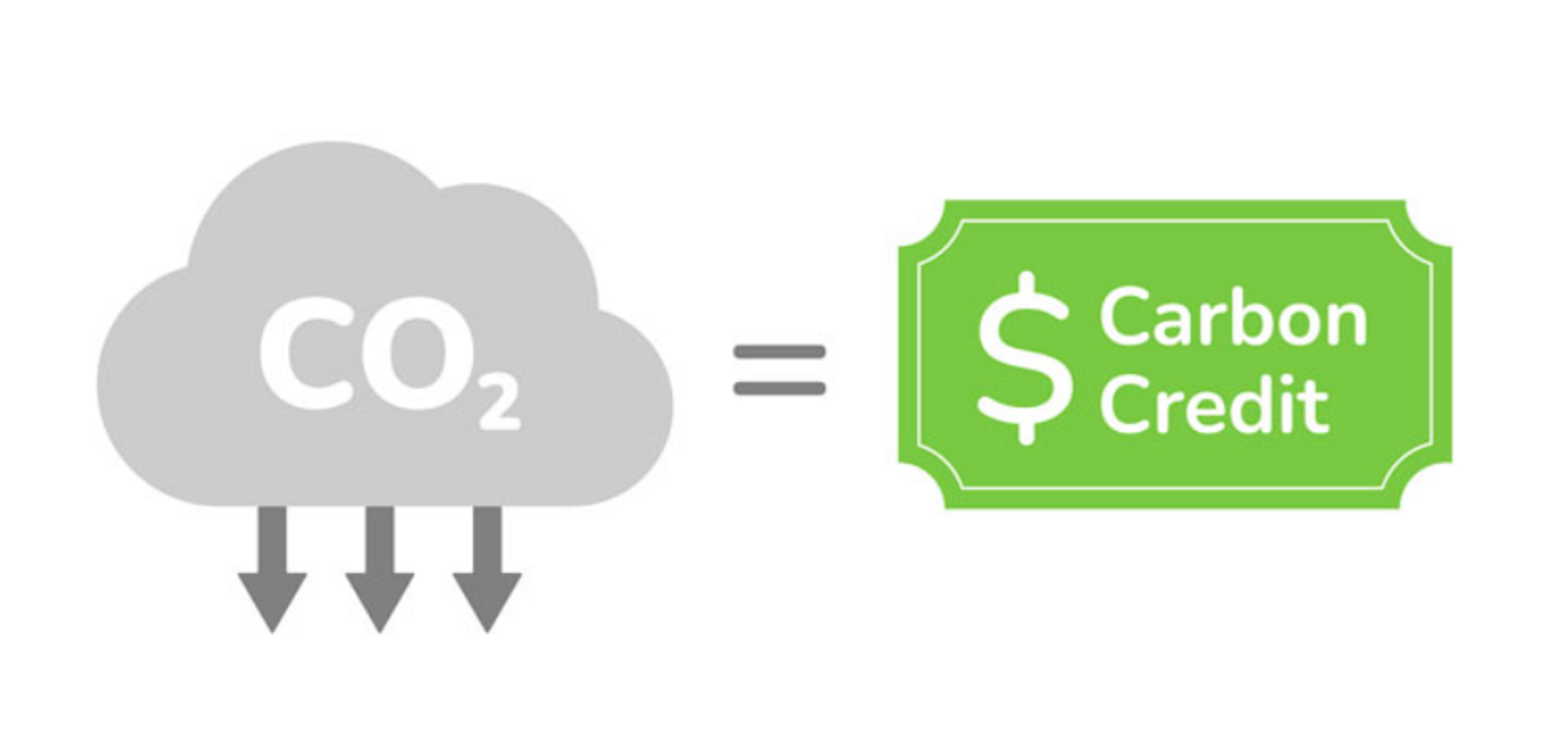 Carbon Credits Overview